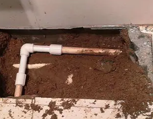 武强测漏水哪家好