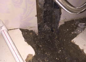 武强卫生间测漏水哪家好