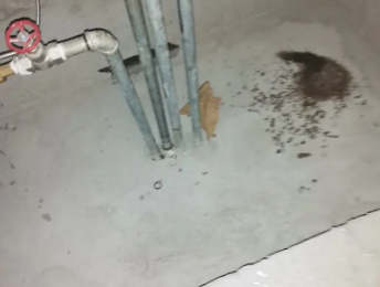 武强卫生间测漏水价格明细